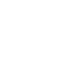 Berne (BE)
