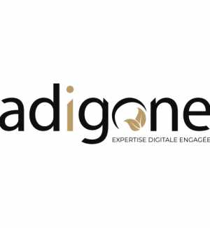 Adigone Digital