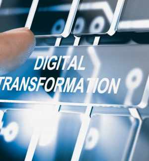 ALLOHOUSTON : le digital simplifié pour toutes les entreprises