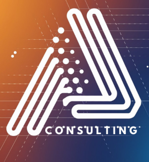 AM Consulting
