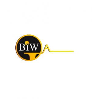 Best Imaging Web - BIW Agency