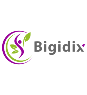 Bigidix