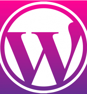 Boutique WordPress