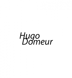 Consultant SEO Lyon - Hugo Domeur