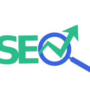 ELIE SAMAMA CONSULTANT SEO