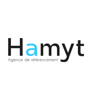 Hamyt