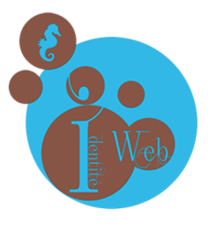 Identité Web