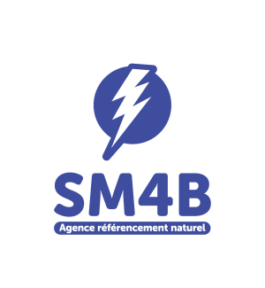 SM4B