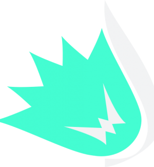 Webdevoo