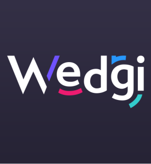 Wedgi design
