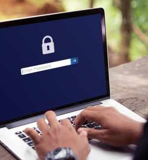 WordPress Piraté