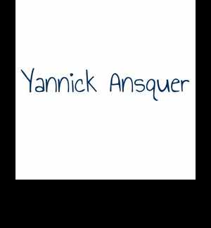 Yannick Ansquer SEO SEA