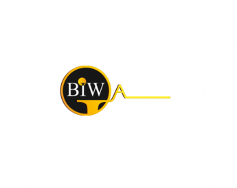 Best Imaging Web - BIW Agency