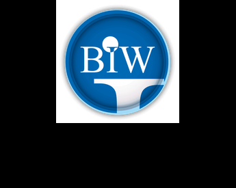 Best Imaging Web - BIW Agency