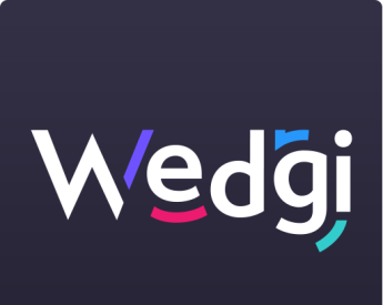 Wedgi design