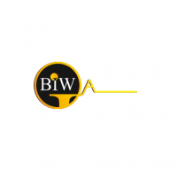 Best Imaging Web - BIW Agency