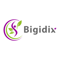 Bigidix