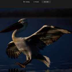 Luminar Neo
