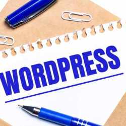site wordpress Lyon