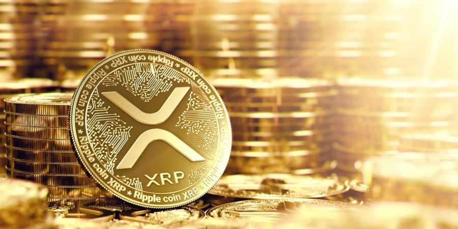 fin des cryptomonnaies