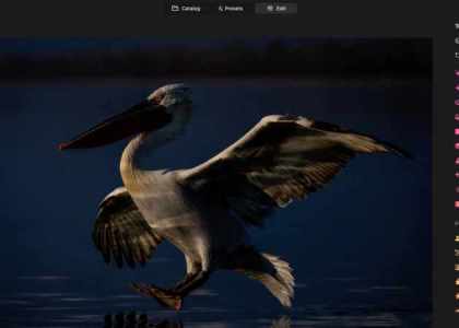 Luminar Neo