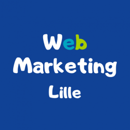 webmarketing lille