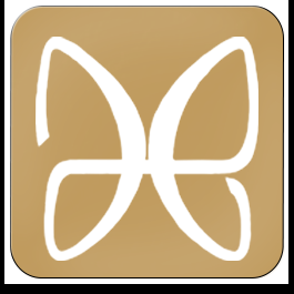 monarchagency.fr