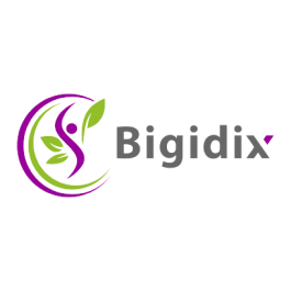 Bigidix
