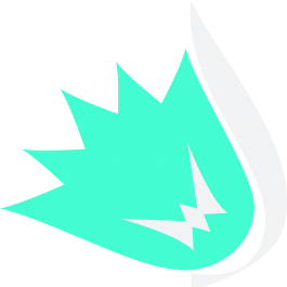 webdevoo