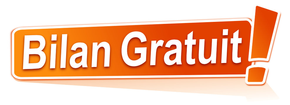 Bilan Business Digital Gratuit