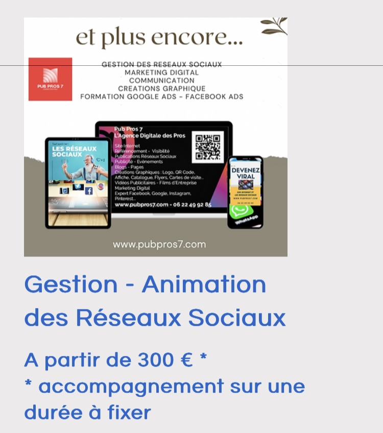 Gestion et animation des réseaux sociaux 