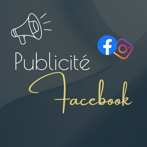 Publicités sur Facebook et Instagram (Pubs Facebook Ads)
