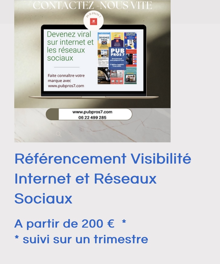 Référencement SEO - Visibilité sur Réseaux sociaux